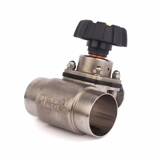 Sanitary Diaphragm Valve with Clamped Ends